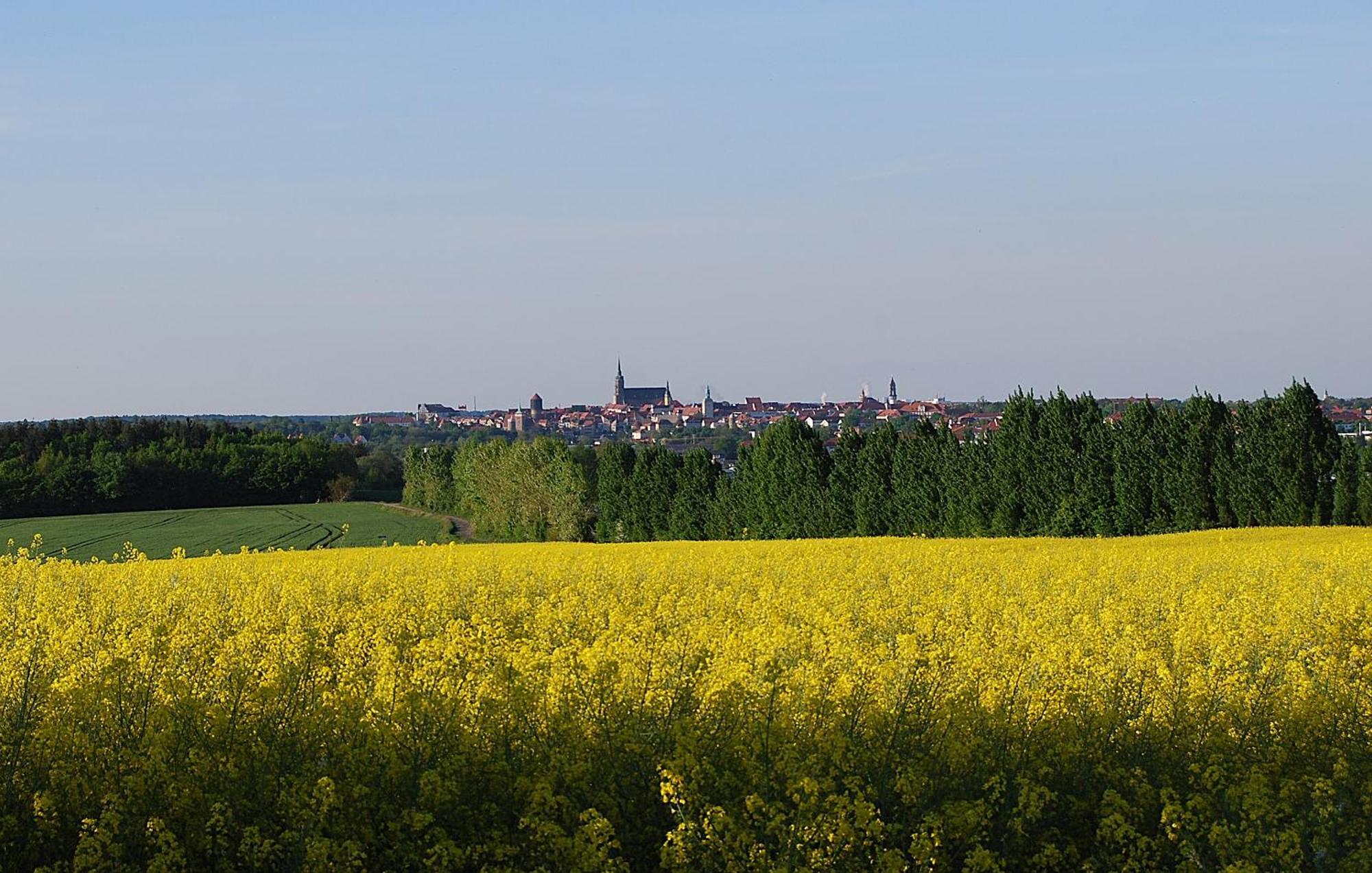Fewo Geborgenheit Asza Mit Strahlungsfreien Zonen Bautzen Bagian luar foto